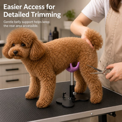 Malloren Adjustable Dog Grooming Support Stand for Small Dogs – Helps Reduce Sitting During Trimming, Brushing & Drying