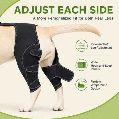 Malloren Dual Rear Leg Dog Support Brace with Harness - Walking Stability for Weak Hind Legs
