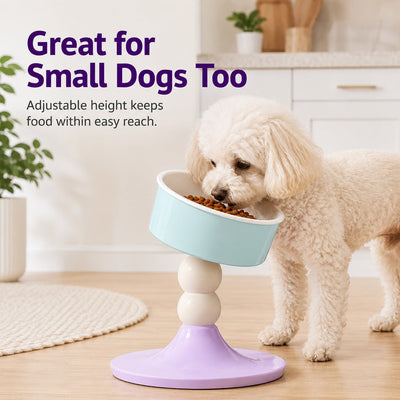 Malloren Adjustable Elevated Pet Bowl for Cats & Small Dogs - 3 Height Modes for Comfortable Feeding