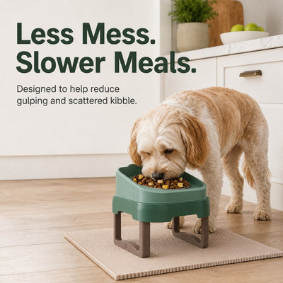 Malloren Adjustable Elevated Slow Feeder Pet Bowl for Cats & Small Dogs - Less Mess, Slower Meals & Easy Cleaning