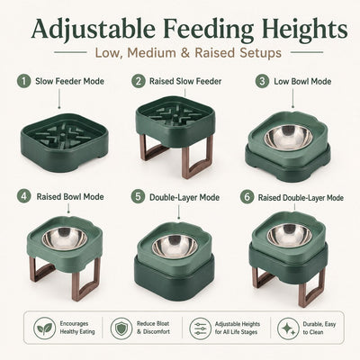 Malloren Adjustable Elevated Slow Feeder Pet Bowl for Cats & Small Dogs - Less Mess, Slower Meals & Easy Cleaning
