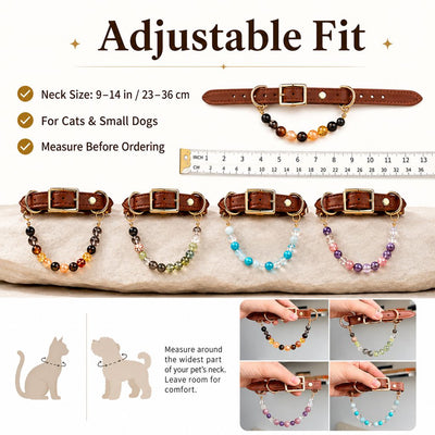 Malloren Four Elements Crystal Pet Collar Gift Box for Cats & Small Dogs - Photo-Ready Astrology Pet Jewelry for Birthdays, Holidays & Meaningful Pet Gifts
