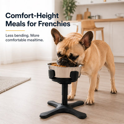 Malloren French Bulldog Adjustable Elevated Tilted Dog Bowl for Kitchen Feeding Corners - 3-Height Stand with Slow Feeder Insert to Reduce Neck Bending & Mess