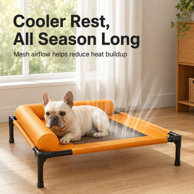Malloren French Bulldog Elevated Dog Cot for All-Season Indoor Naps - Breathable Raised Pet Bed with Soft Bolsters for Cooler Rest & Easy Cleaning