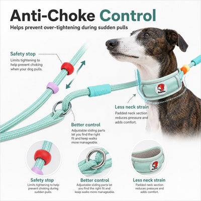 Malloren Anti-Choke Dog Leash for Everyday Walks - Padded Neck Protection & Better Control for Pullers