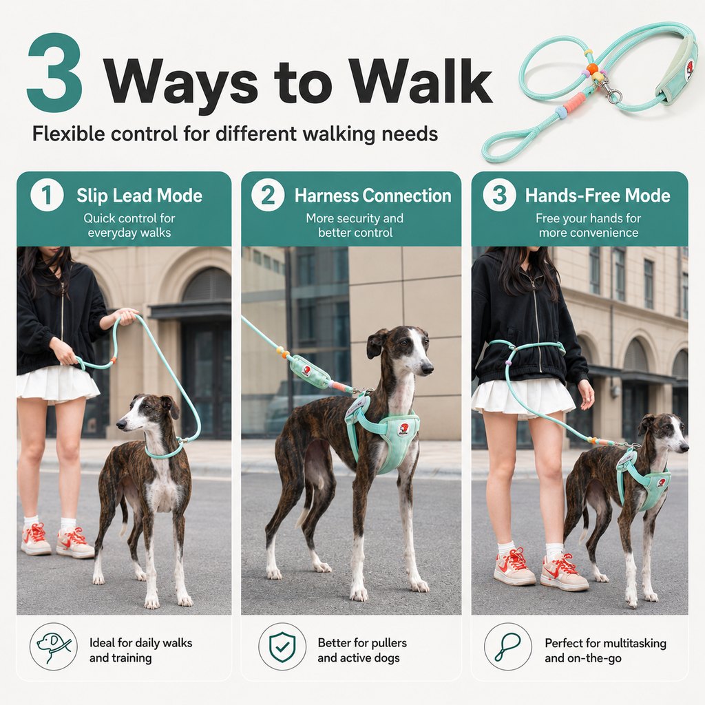 Malloren Anti-Choke Dog Leash for Everyday Walks - Padded Neck Protection & Better Control for Pullers