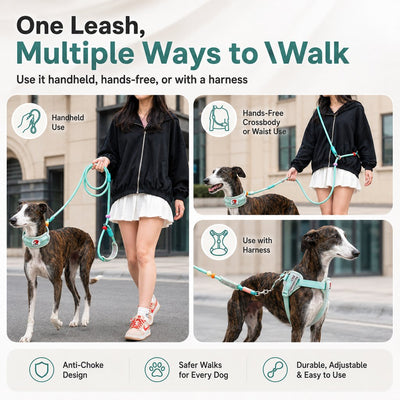 Malloren Anti-Choke Dog Leash for Everyday Walks - Padded Neck Protection & Better Control for Pullers