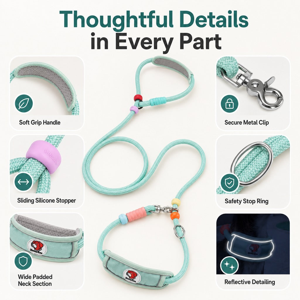 Malloren Anti-Choke Dog Leash for Everyday Walks - Padded Neck Protection & Better Control for Pullers