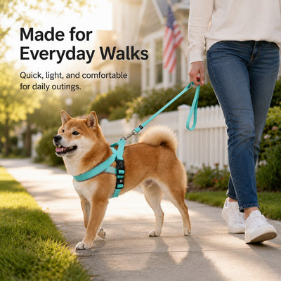 Malloren Quick-Fit Lightweight Dog Harness & Leash Set for Daily Walks - No-Choke Step-In Comfort with Secure Buckle & Back Control Handle