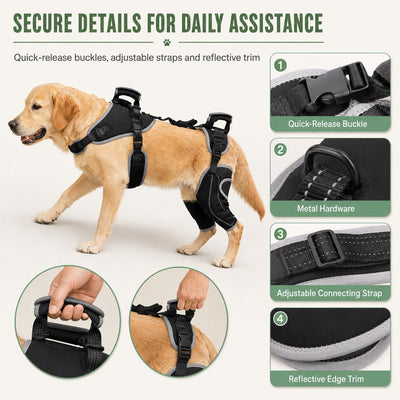 Malloren Full-Body Dog Lift Harness with Dual Rear-Leg Support - Easier Standing, Stairs & Car Entry