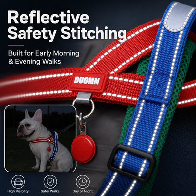Malloren No-Choke French Bulldog Harness & Leash Set for Daily Walks - Reflective, Easy-Control Fit for Broad-Chest Dogs