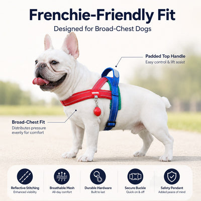 Malloren No-Choke French Bulldog Harness & Leash Set for Daily Walks - Reflective, Easy-Control Fit for Broad-Chest Dogs