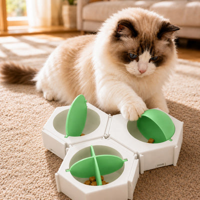 Malloren Modular Cat Puzzle Feeder Toy for Indoor Treat Time - Hexagon Slow Feeder Enrichment Game to Keep Bored Cats Busy