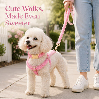 Malloren Boutique Lace Dog Harness, Collar & Leash Set for Birthday Photos & Daily Walks - 3-Piece Ruffle Walking Set