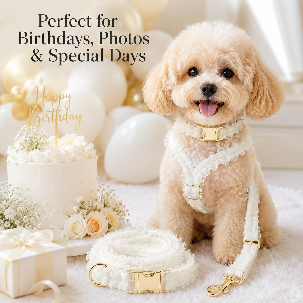 Malloren Boutique Lace Dog Harness, Collar & Leash Set for Birthday Photos & Daily Walks - 3-Piece Ruffle Walking Set