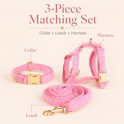 Malloren Boutique Lace Dog Harness, Collar & Leash Set for Birthday Photos & Daily Walks - 3-Piece Ruffle Walking Set