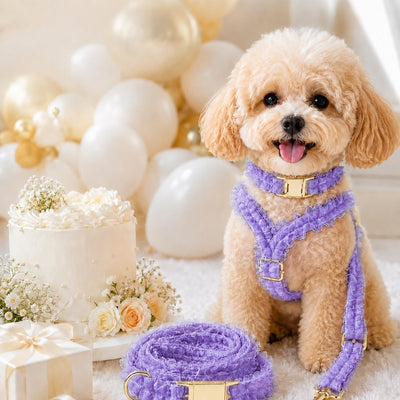 Malloren Boutique Lace Dog Harness, Collar & Leash Set for Birthday Photos & Daily Walks - 3-Piece Ruffle Walking Set
