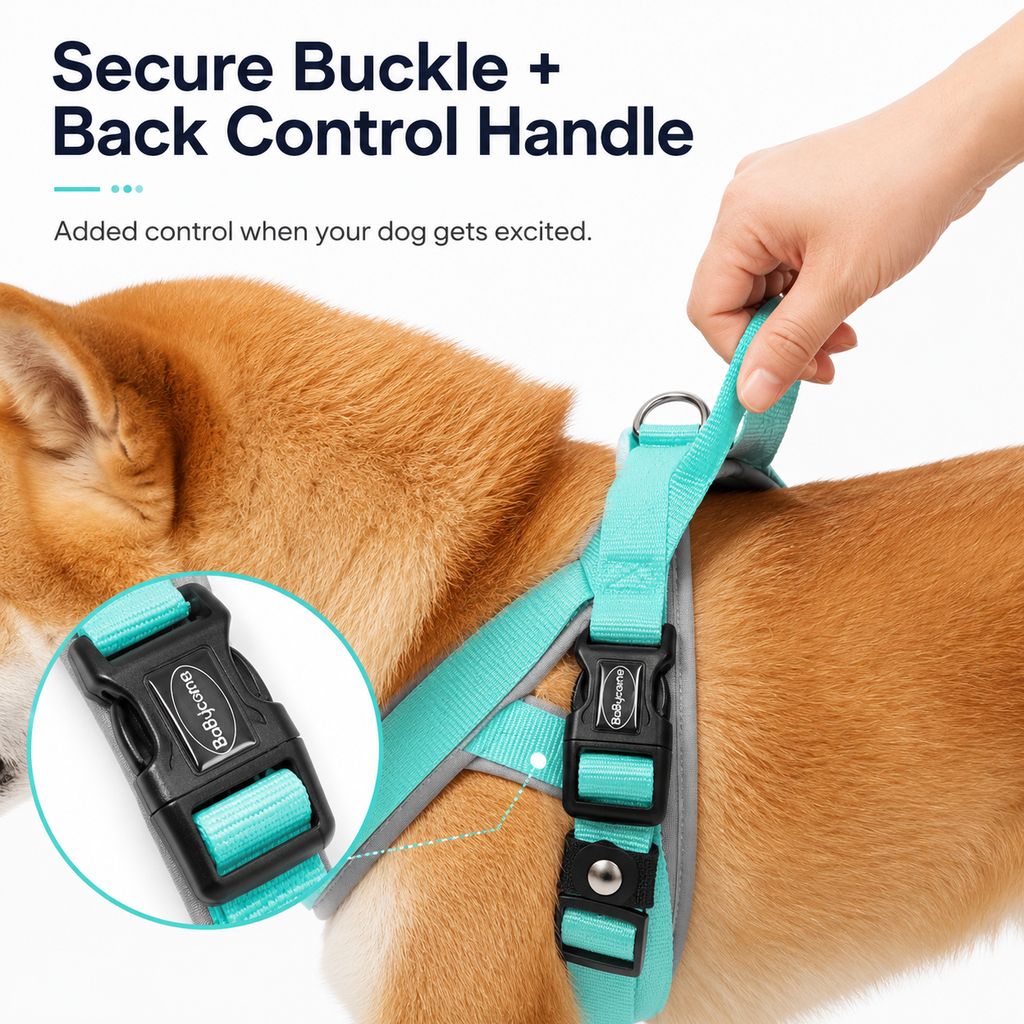Malloren Quick-Fit Lightweight Dog Harness & Leash Set for Daily Walks - No-Choke Step-In Comfort with Secure Buckle & Back Control Handle