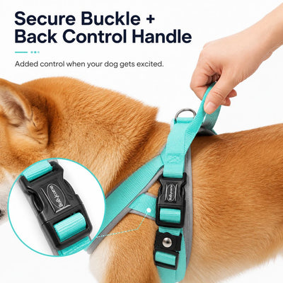 Malloren Quick-Fit Lightweight Dog Harness & Leash Set for Daily Walks - No-Choke Step-In Comfort with Secure Buckle & Back Control Handle