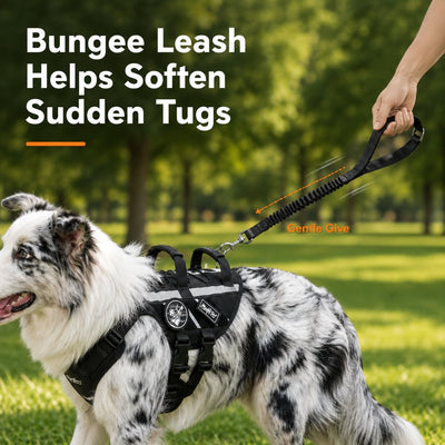 Malloren Outdoor Dog Harness & Bungee Leash Set with Dual Handles, Storage Pouch & Patch Accessories for Hiking, Walking and Everyday Adventures