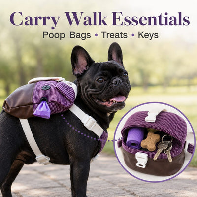 Malloren Frenchie Adventure Backpack Harness for Daily Walks - Carry Poop Bags, Treats & Keys Without Neck Pulling