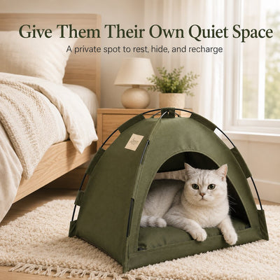 Malloren Cozy Foldable Cat Tent Bed for Apartment Naps - Breathable Hideaway with Removable Cushion