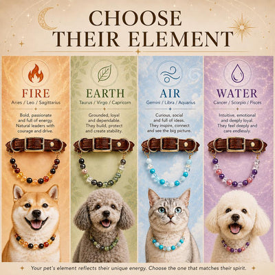 Malloren Four Elements Crystal Pet Collar Gift Box for Cats & Small Dogs - Photo-Ready Astrology Pet Jewelry for Birthdays, Holidays & Meaningful Pet Gifts