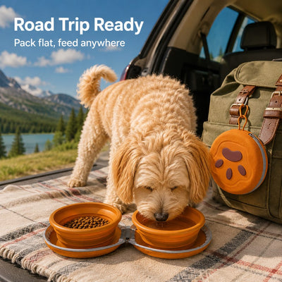 Malloren 2-in-1 Collapsible Pet Travel Bowl for Walks, Parks & Road Trips - Feed and Hydrate Small Dogs or Cats Anywhere