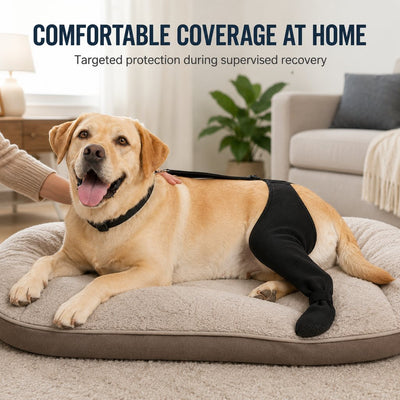 Malloren Adjustable Dog Rear Leg Recovery Sleeve with Paw Cover - Helps Limit Licking During Post-Surgery Rest
