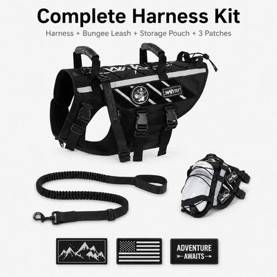 Malloren Outdoor Dog Harness & Bungee Leash Set with Dual Handles, Storage Pouch & Patch Accessories for Hiking, Walking and Everyday Adventures