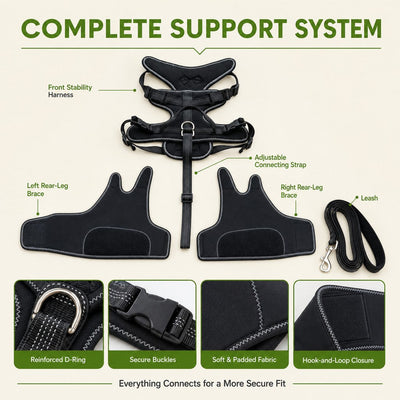 Malloren Dual Rear Leg Dog Support Brace with Harness - Walking Stability for Weak Hind Legs