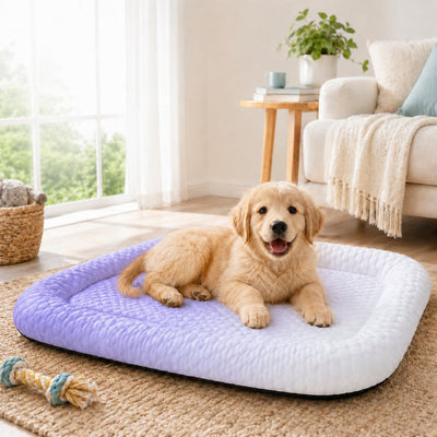 Malloren Cool-Touch Gradient Pet Cooling Bed for Summer Naps - Breathable Bolster Rest Mat for Cats & Small Dogs