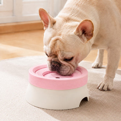 Malloren Frenchie No-Drip Floating Water Bowl for Indoor Daily Drinking - Helps Keep Muzzle Drier & Floors Cleaner