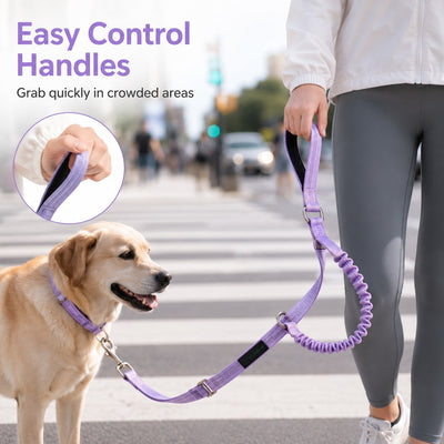 Malloren Hands-Free Shock-Absorbing Dog Leash for Running, Walking & Car Travel - Bungee Leash Helps Reduce Pulling