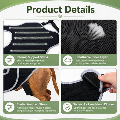 Malloren Dog Back Support Vest for Daily Walks & Home Recovery - Adjustable Support for Long-Backed and Senior Dogs