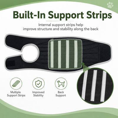 Malloren Dog Back Support Vest for Daily Walks & Home Recovery - Adjustable Support for Long-Backed and Senior Dogs