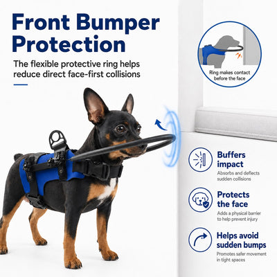 Malloren Adjustable Dog Bumper Ring Harness for Safer Home Walking - Helps Blind & Senior Dogs Avoid Wall & Furniture Bumps