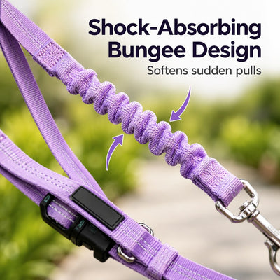 Malloren Hands-Free Shock-Absorbing Dog Leash for Running, Walking & Car Travel - Bungee Leash Helps Reduce Pulling