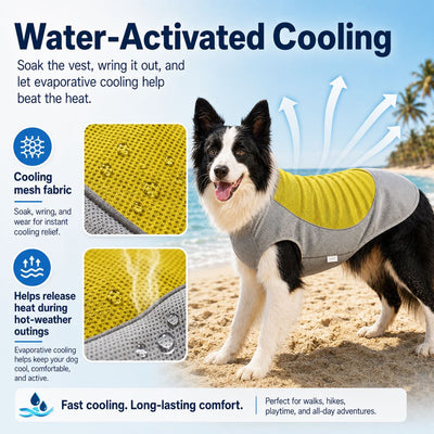 Malloren Water-Activated Dog Cooling Vest for Summer Walks & Hikes - Breathable Heat-Relief Vest with Ice Pack Pocket