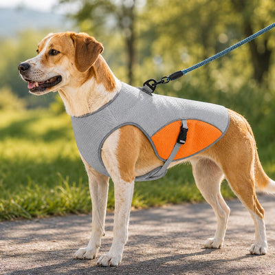 Malloren Dog Cooling Vest for Summer Walks - Wet-to-Cool Lightweight Jacket with Leash Ring for Hot Weather Outdoor Comfort