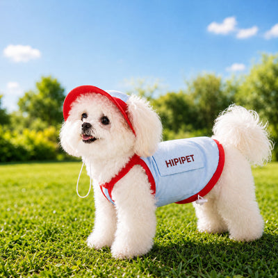 Malloren Dog Cooling Vest and Sun Hat Set – Keep your dog cool and comfortable during hot summer walks.