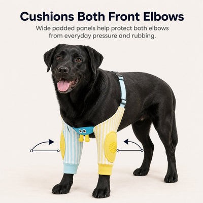 Malloren Padded Dog Elbow Protector Sleeves for Hard Floors - Dual Front-Leg Coverage for Pressure & Rubbing