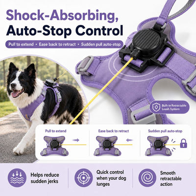 Malloren 2-in-1 No Pull Dog Harness with Built-in Retractable Leash - Safe & Comfortable Control for Daily Walks & Outdoor Adventures