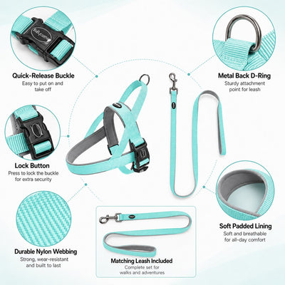 Malloren Quick-Fit Lightweight Dog Harness & Leash Set for Daily Walks - No-Choke Step-In Comfort with Secure Buckle & Back Control Handle