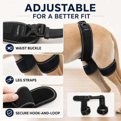 Malloren Dog Hip & Rear Leg Support Brace – Adjustable Dual Hind-Leg Stability Wrap for Senior Dogs, Hardwood Floors & Daily Walks