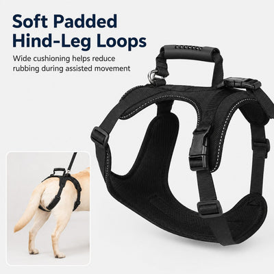 Malloren Full-Body Dog Lift Harness for Large Dogs - Front & Rear Mobility Support for Stairs, Car Ramps and Weak Hind Legs