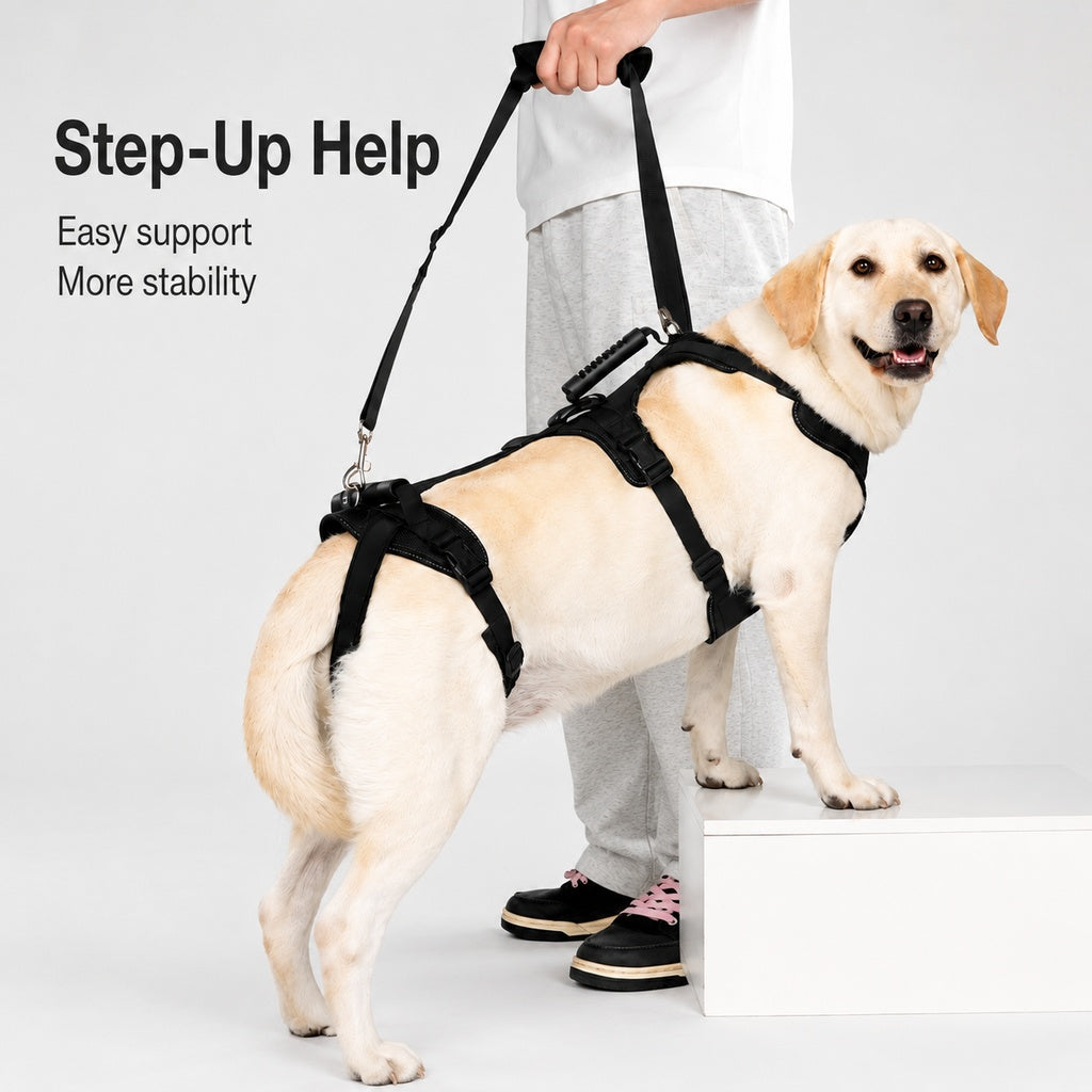 Malloren Full-Body Dog Lift Harness for Large Dogs - Front & Rear Mobility Support for Stairs, Car Ramps and Weak Hind Legs