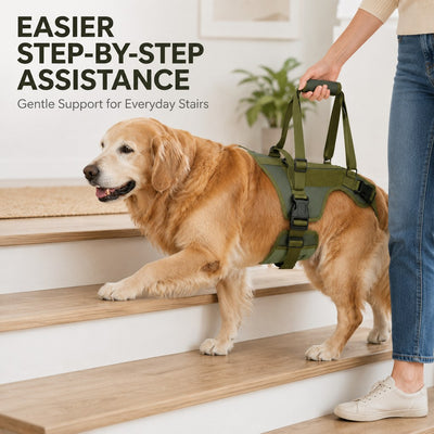 Malloren Full-Body Dog Lift Support Harness for Stairs, Cars & Limited Mobility