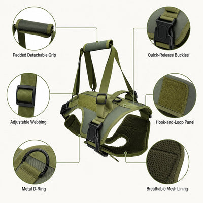 Malloren Full-Body Dog Lift Support Harness for Stairs, Cars & Limited Mobility