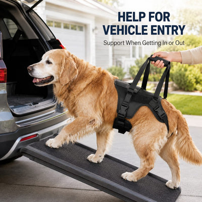Malloren Full-Body Dog Lift Support Harness for Stairs, Cars & Limited Mobility